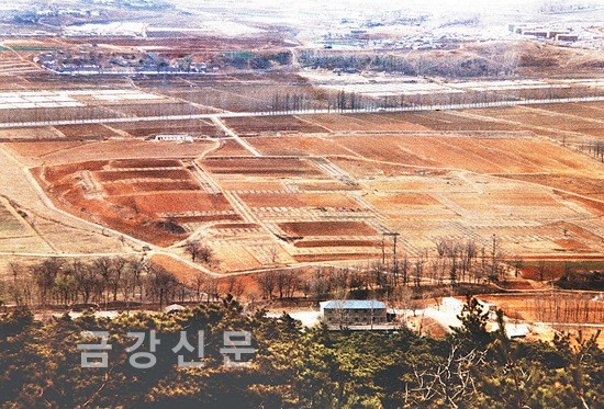 ⑥ 고구려 안학궁