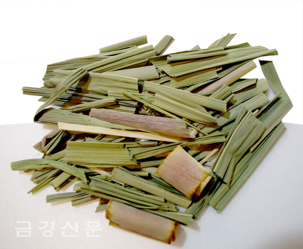 소 먹이로 쓰던‘줄풀’ 해독 돕는 만병통치약