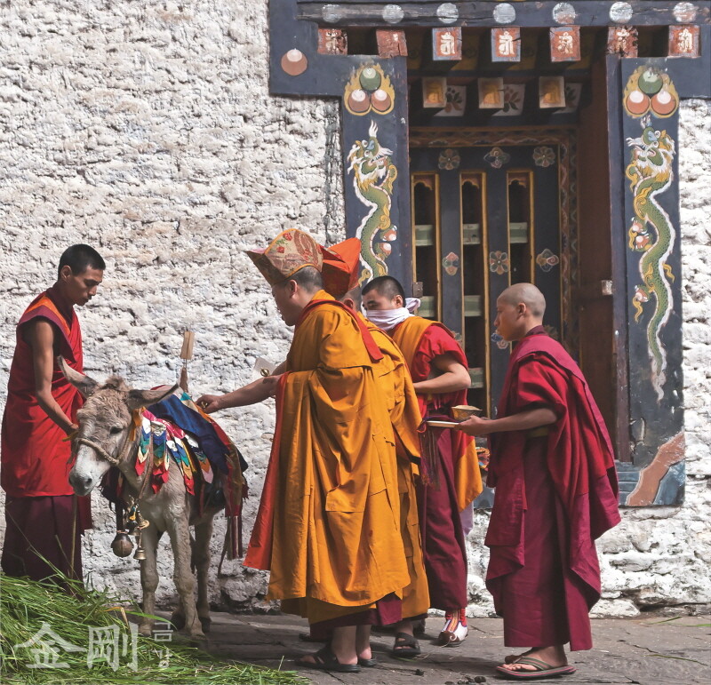 부탄의 한 사원에서 스님이 당나귀에게 축복을 해주고 있다. ⓒGettyimagesBank