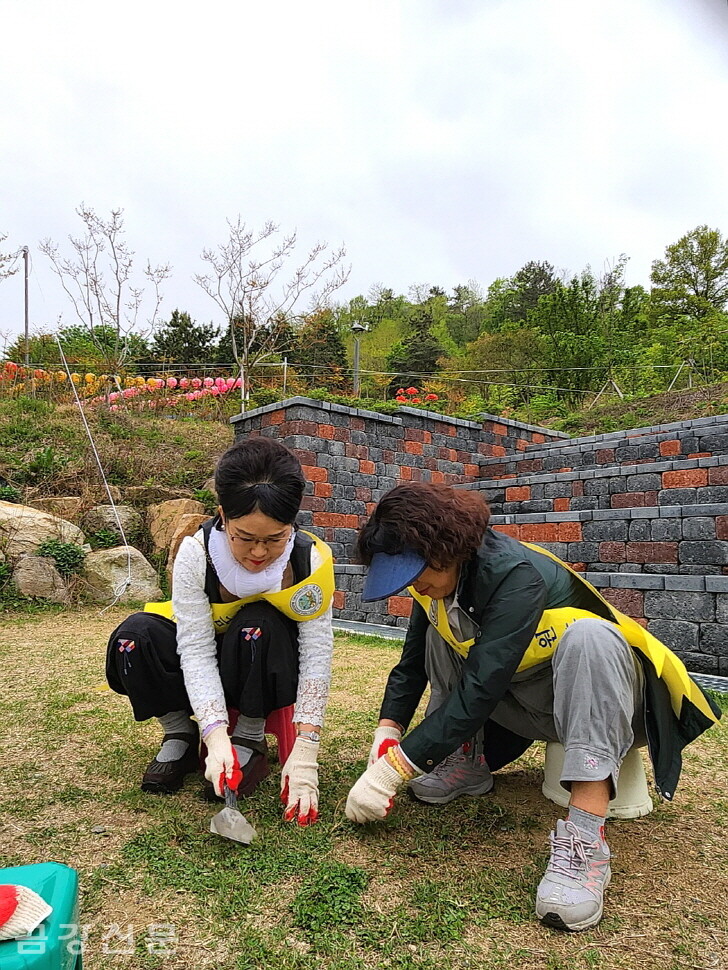 잡초제거 활동을 하고 있는 재학생들. 