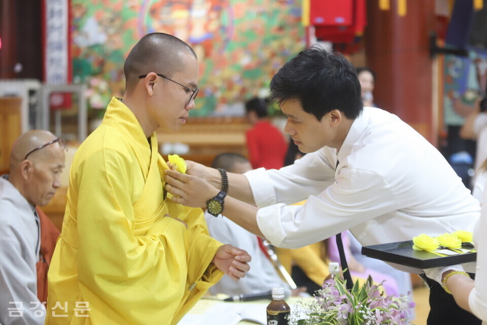 베트남 불자가 스님의 가사를 상징하는 노란 장미를 틱 티엔 광 스님에게 달아드리고 있다. 