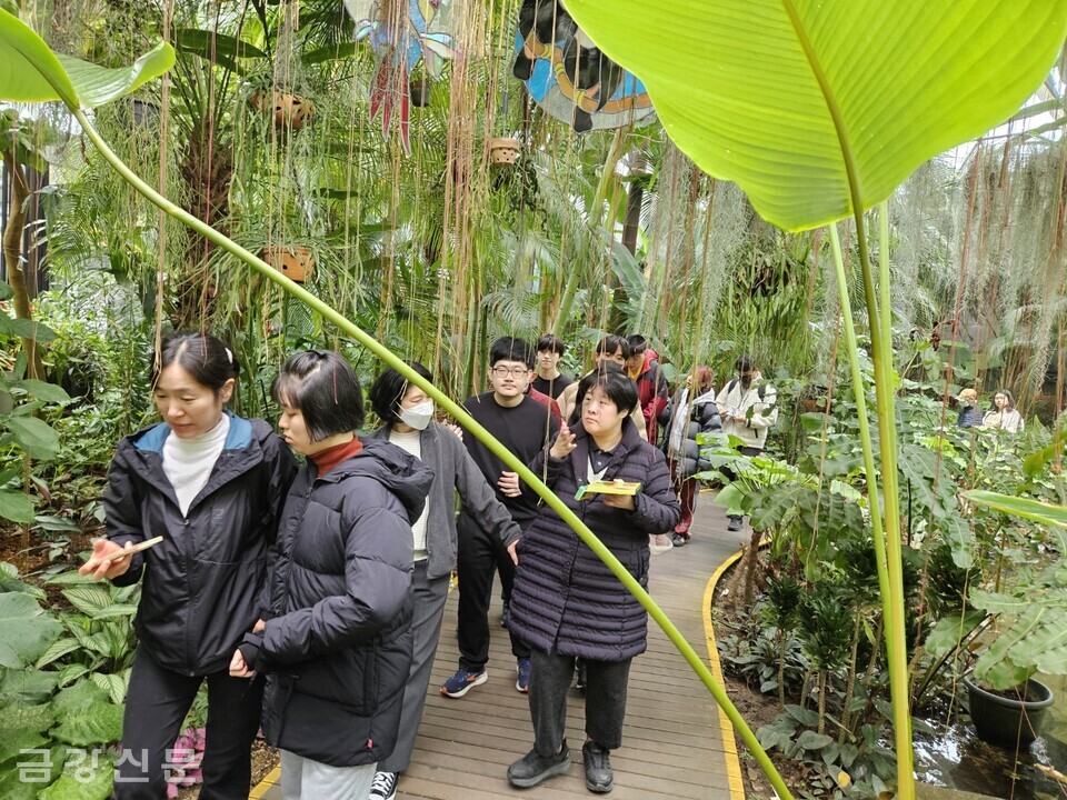 참가자들이 식물원을 관람하고 있다. 