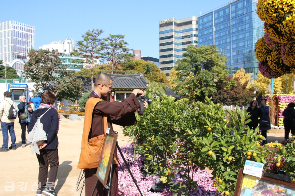 조계사 관람 중인 베트남 스님.