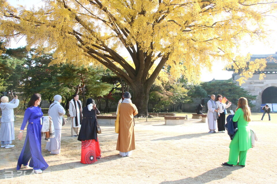 경복궁 내부 관람.