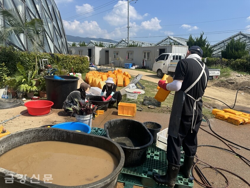 봉사자들이 수해 복구 활동을 진행하고 있다.